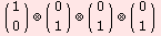 (\[NoBreak] 1 \[NoBreak]) (x) (\[NoBreak] 0 \[NoBreak]) (x) (\[NoBreak] 0 \[NoBreak]) (x) (\[NoBreak] 0 \[NoBreak])     0         1         1         1