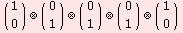 (\[NoBreak] 1 \[NoBreak]) (x) (\[NoBreak] 0 \[NoBreak]) (x) (\[NoBreak] 0 \[NoBreak]) (x) (\[NoBreak] 0 \[NoBreak]) (x) (\[NoBreak] 1 \[NoBreak])     0         1         1         1         0